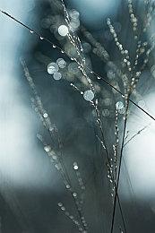 要买升级包吗？《塞尔达传说》Switch 2和1画质对比